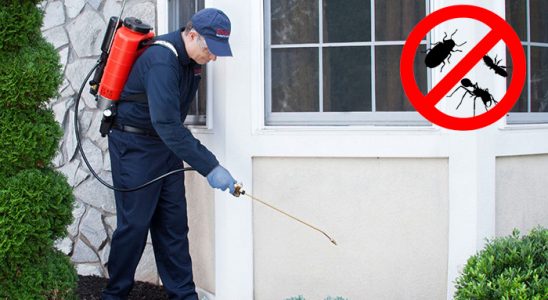 Kaynarca Bit İlaçlama böcek ilaçlama ve haşere kontrolü — ilaclama-tr.com